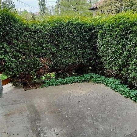 Pine Tree Apartment Saraievo Exterior foto